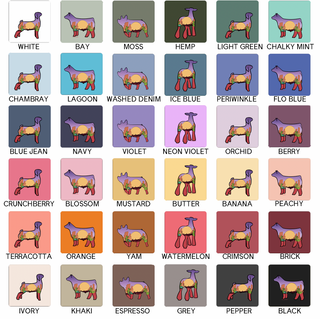 DESERT ANIMALS - CHOOSE YOUR ANIMAL – Comfort Colors T-Shirt