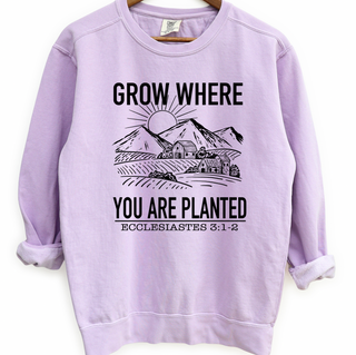 Grow where you are planted – Crewneck