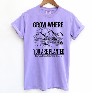 Grow Where You Are Planted – Comfort Colors T-Shirt