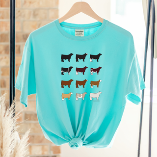 Steer Breeds– Comfort Colors T-Shirt