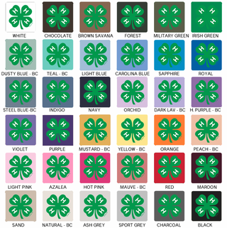 4-H Clover Green– Hoodie