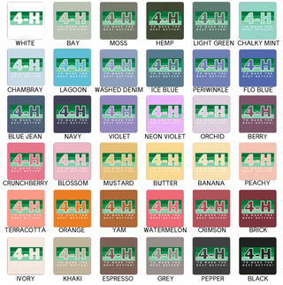 4-H Colorblock– Comfort Colors T-Shirt