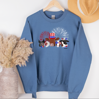 RED WHITE BLUE GROUP  – Crewneck