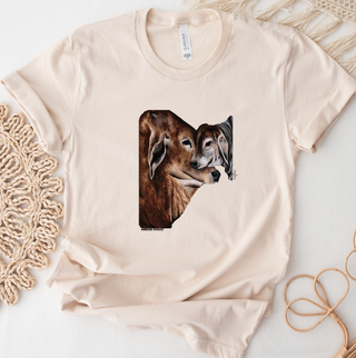 Brahman Pair- Bella Canvas T-Shirt
