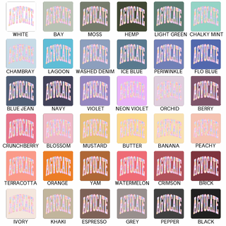 Colorful Plaid Agvocate– Comfort Colors T-Shirt