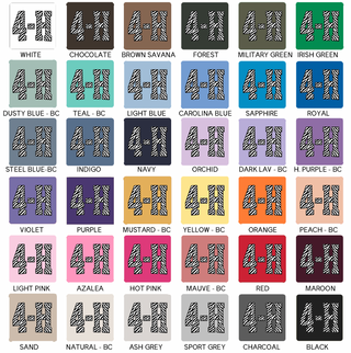 Zebra 4-H– Hoodie