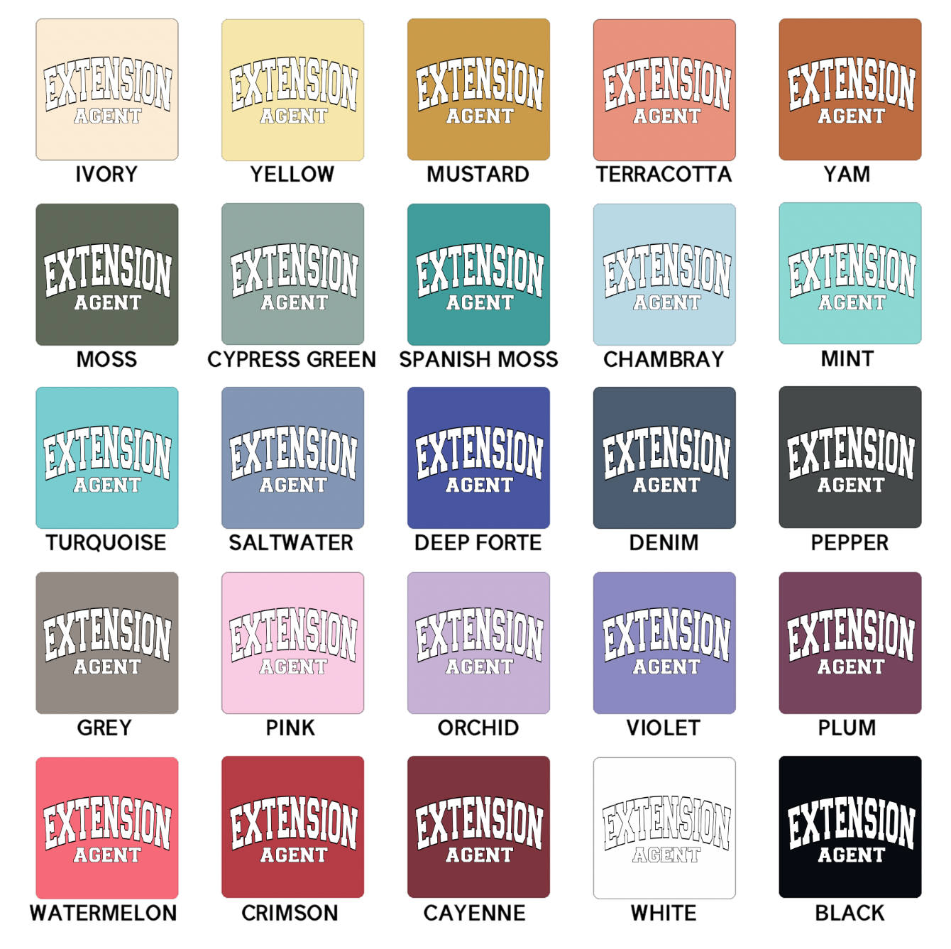 Varsity Extension Agent ComfortWash/ComfortColor T-Shirt (S-4XL) - Multiple Colors!